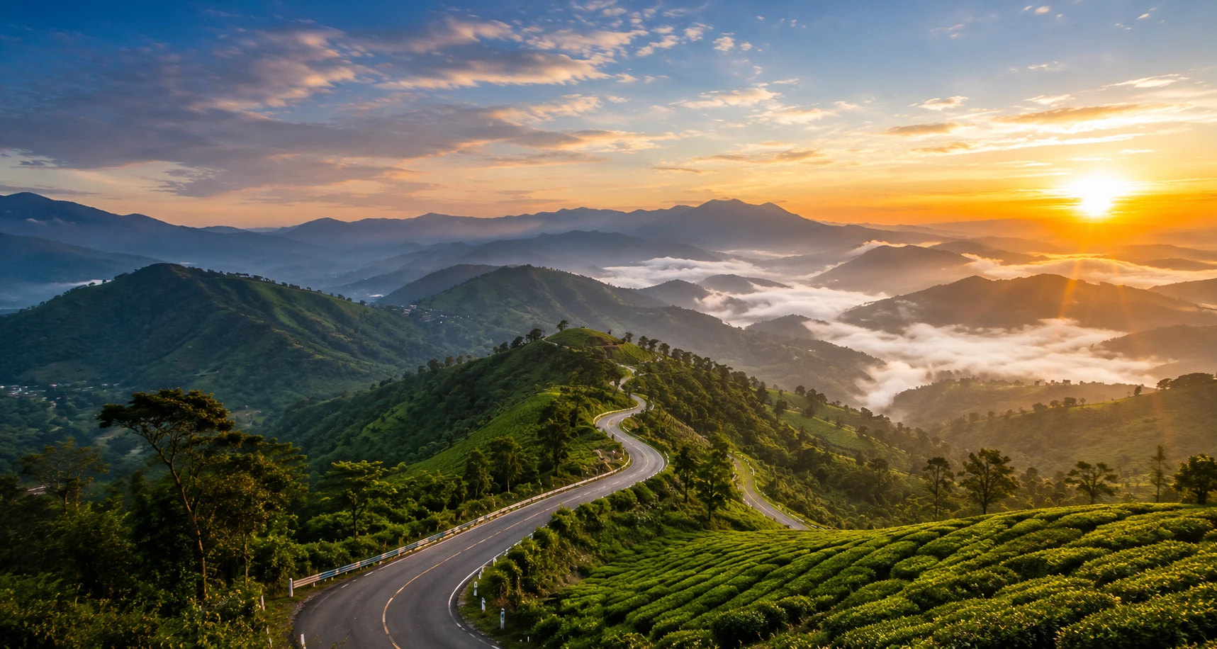 Ooty