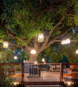 Kruger Untamed - Satara Plains Camp