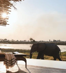 Belmond Eagle Island Camp