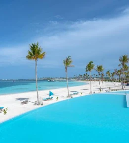 Joy Island by Cocoon