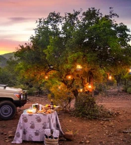 Lush Private Game Lodge