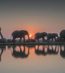 Jabulani Safari Lodge