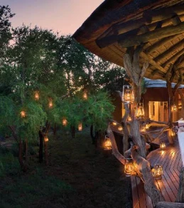 Madikwe Safari Lelapa Lodge