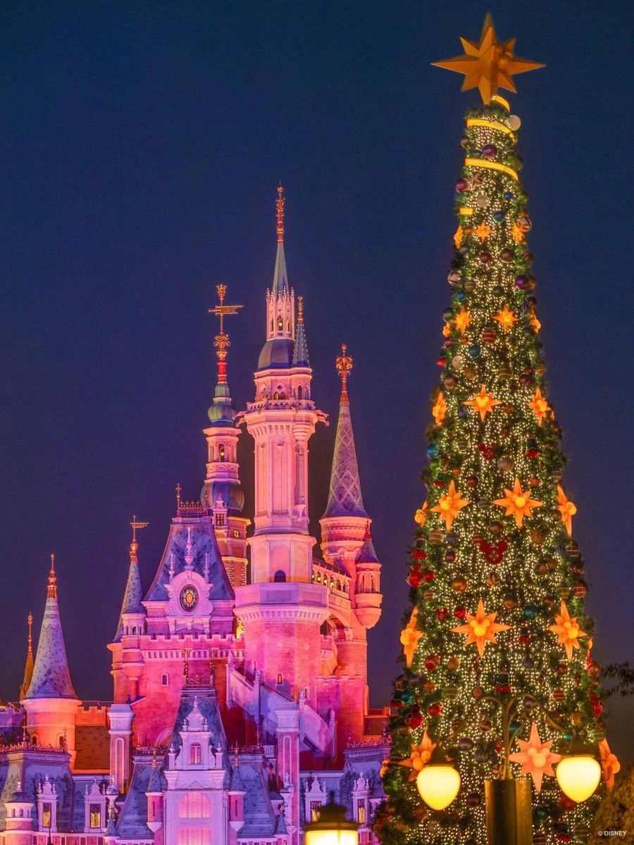 Shanghai Christmas Disneyland + Anji Skiing Experience 5D4N