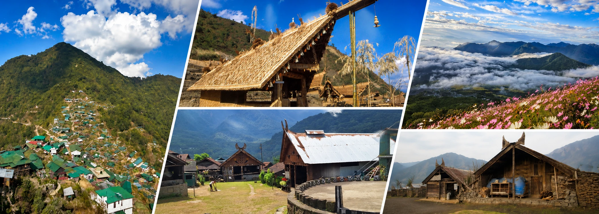 Nagaland 