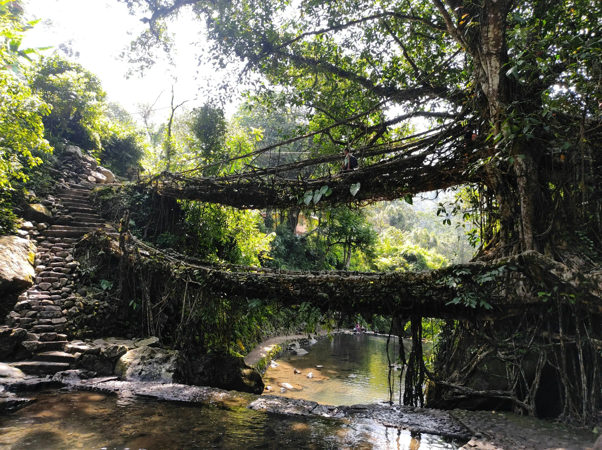 Meghalaya