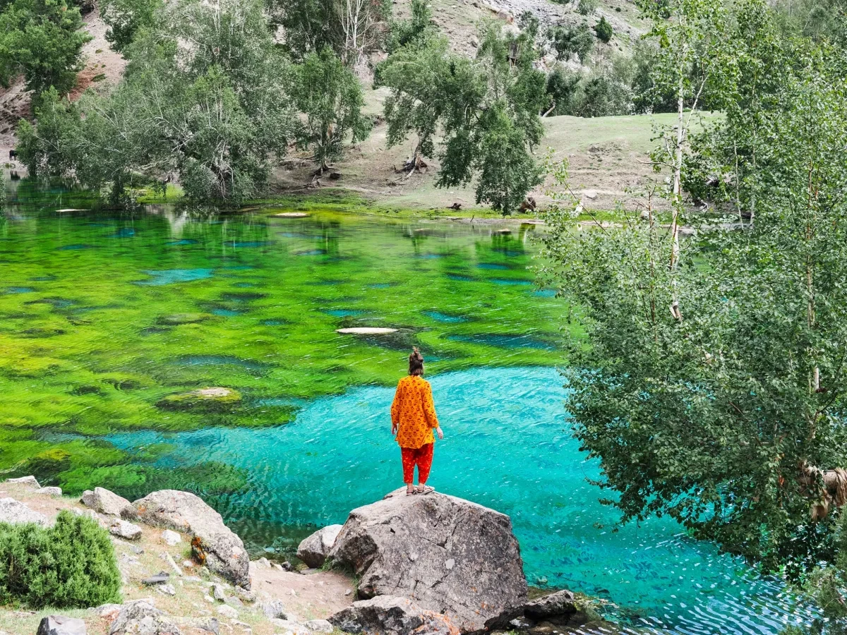 Naltar Valley