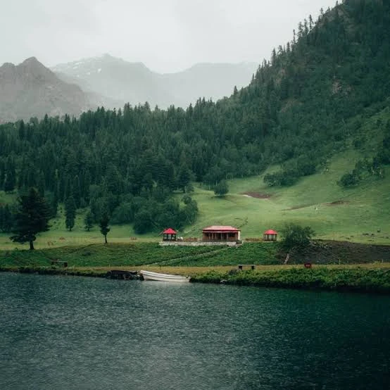 Minimarg 