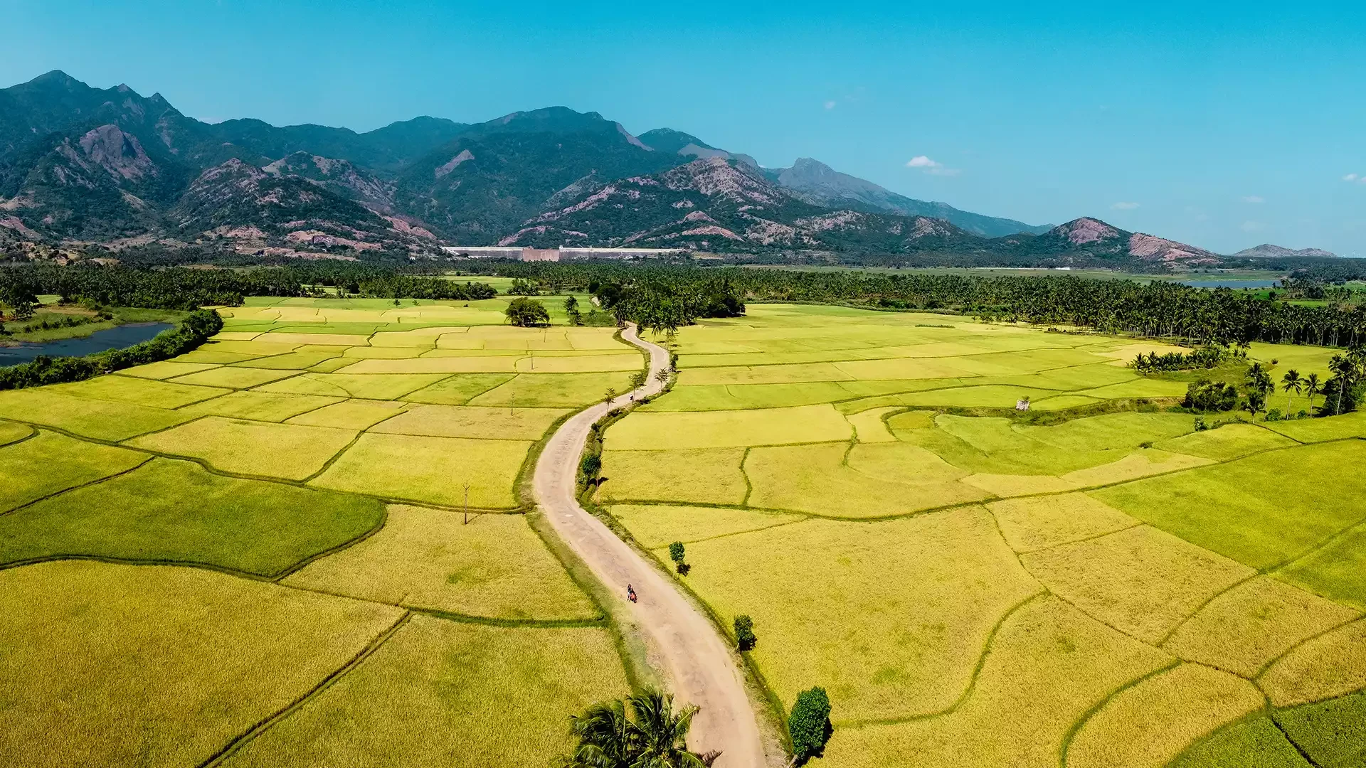 Tenkasi