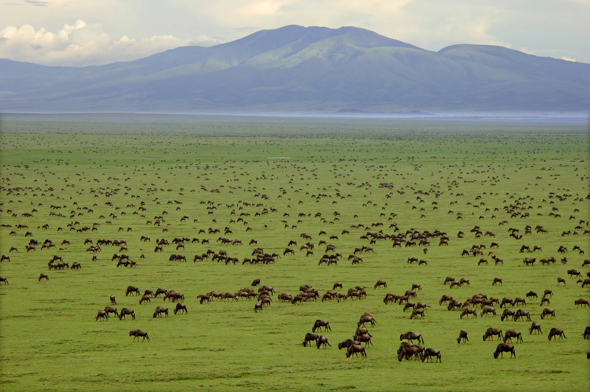 Serengeti National Park